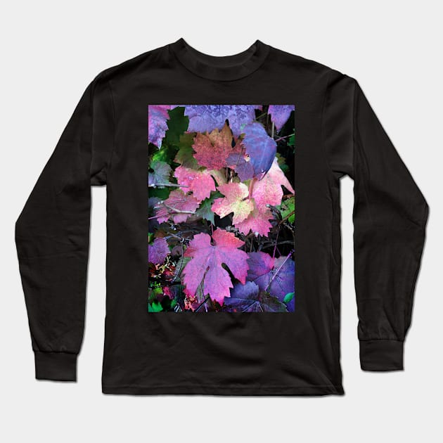 Colours of Autumn Leaves Long Sleeve T-Shirt by rozmcq